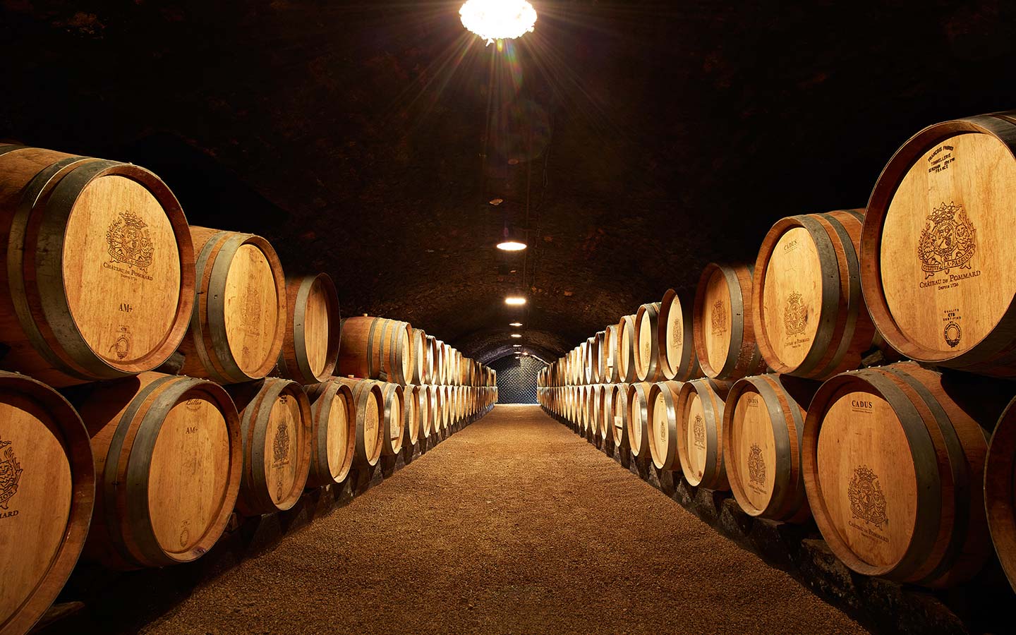 Vin Saint Emilion : les grandes appellations de vins