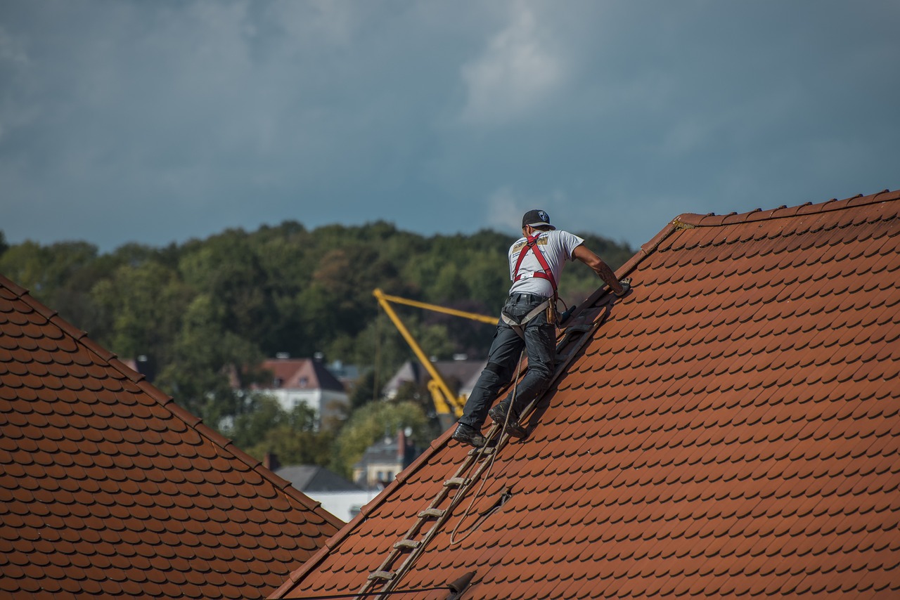 Quelles sont les méthodes efficaces pour nettoyer une toiture en ardoise et quelles précautions prendre pour préserver sa durabilité ?